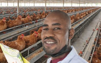 WhatsApp Image 2026-02-10 at 9.58.26 PM